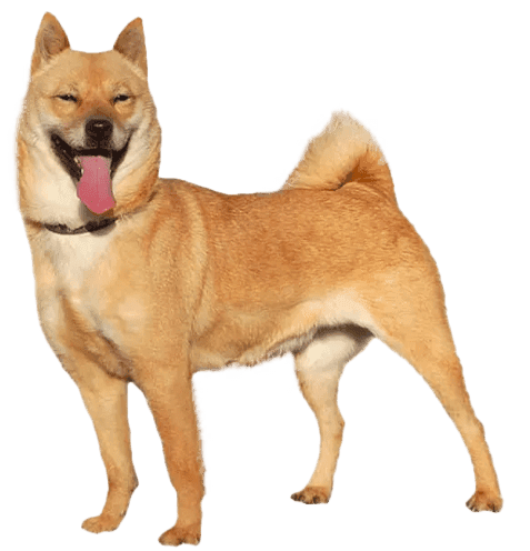 Hokkaido