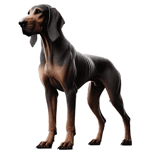 Limer Hound: El Sabueso Extinto Especializado en la Caza de Presas Mayores