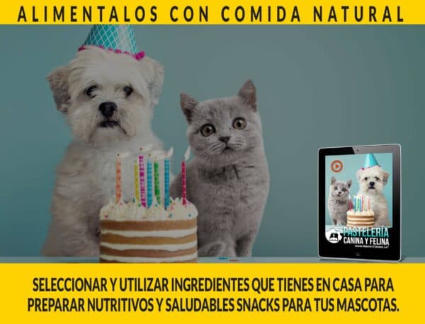 Pasteleria canina y felina