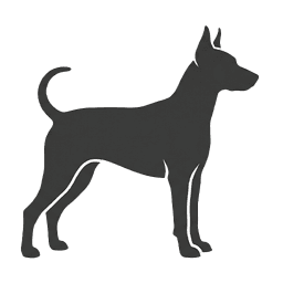 Pinscher y Schnauzer