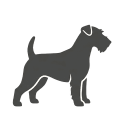 Terriers