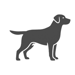 Perros de Muestra