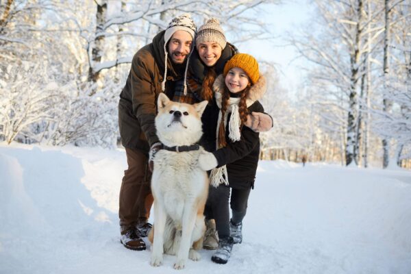 Akita Inu es bueno con las familias