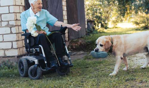 asistencia perros cuidandonos