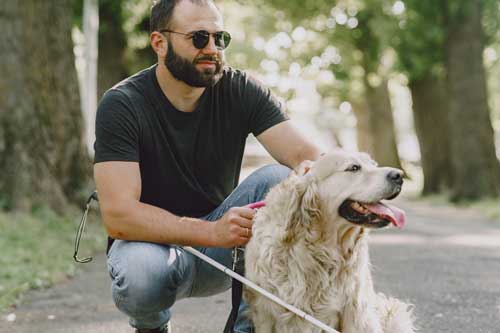 asistencia perros alerta