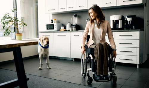 asistencia perros en cocina