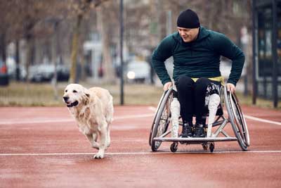 asistencia perros