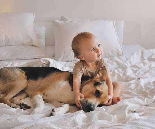 perro y bebé los mejores amigos