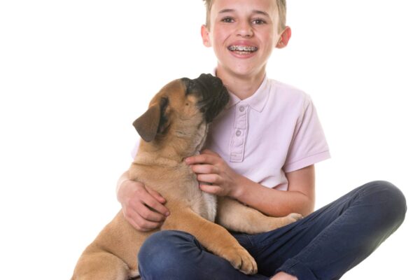 El Bullmastiff es bueno con los niños