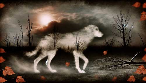 Chien-gris se extinguio