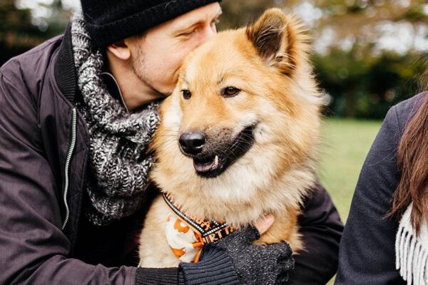 temperamento de un Eurasier