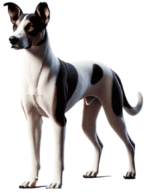 Eurohound