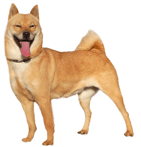 Hokkaido