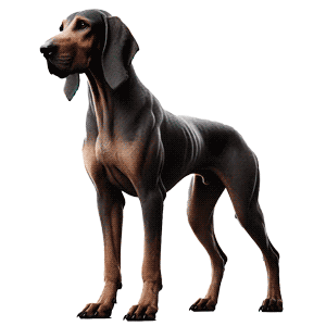 Limer Hound