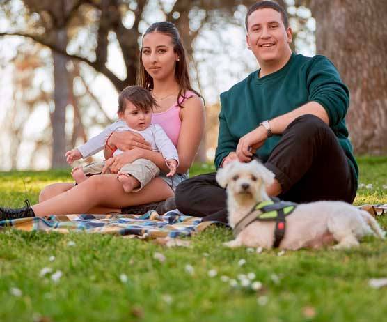 perros y bebes juntos