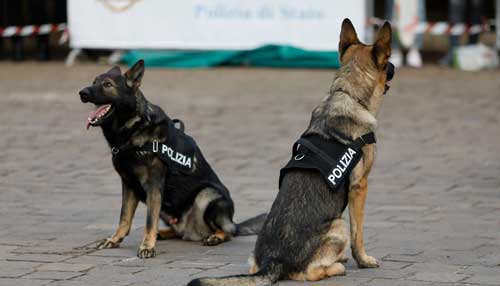 Perros policías historia