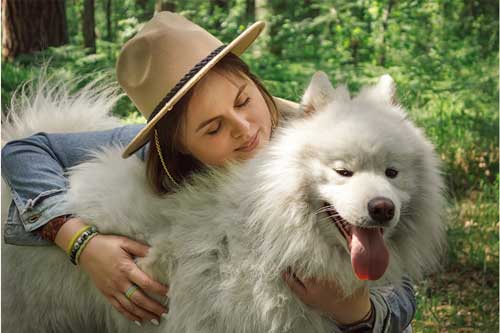 como se comporta un Samoyedo