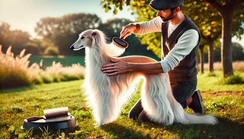 Silken Windhounds cuidados