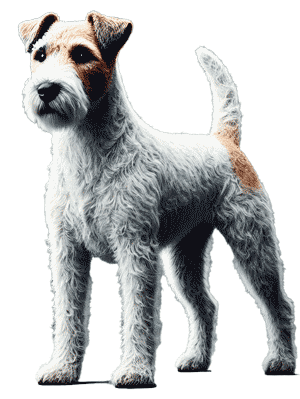 Sporting Lucas Terrier