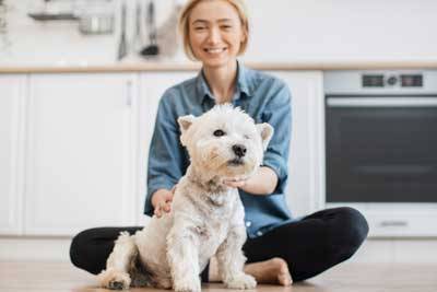 West Highland white terrier mantenimiento